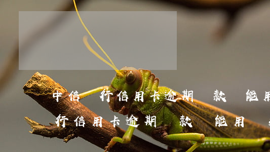 中信銀行信用卡逾期還款還能用嗎-中信銀行信用卡逾期還款還能用嗎知乎