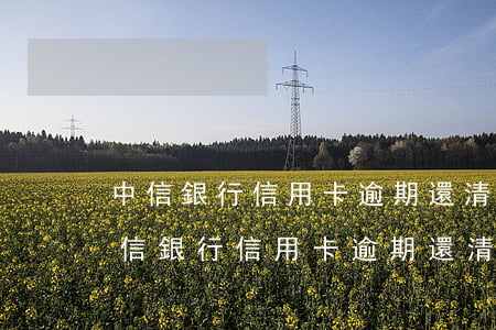 中信銀行信用卡逾期還清了還能解封嗎-中信銀行信用卡逾期還清了還能解封嗎