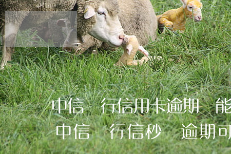 中信銀行信用卡逾期還能協(xié)商嗎 中信銀行信秒貸逾期可以協(xié)商還款嗎