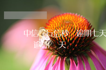 中信銀行信秒貸逾期七天會怎么樣?（中信信秒貸逾期兩天）