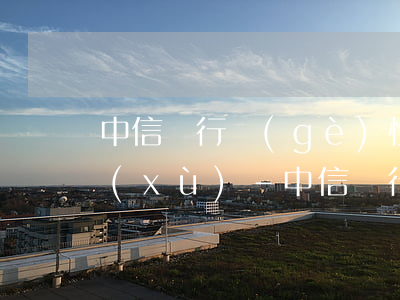 中信銀行個(gè)性化分期需要什么手續(xù)-中信銀行個(gè)性化分期需要什么手續(xù)費(fèi)