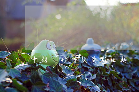 中信銀行借款逾期被起訴(中信銀行提起訴訟)