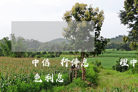 中信銀行停息掛賬辦理(中信銀行停息掛帳減免利息嗎)