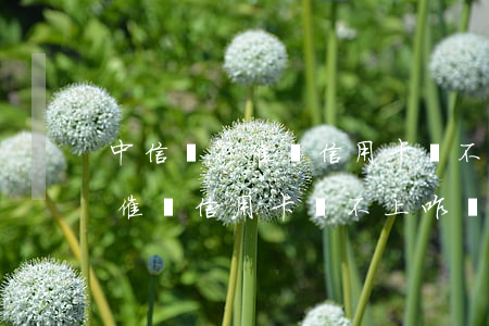 中信銀行催還信用卡還不上咋辦-中信銀行催還信用卡還不上咋辦呢