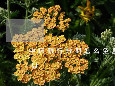 中信銀行分期怎么免息（中信銀行沒有分期免息）