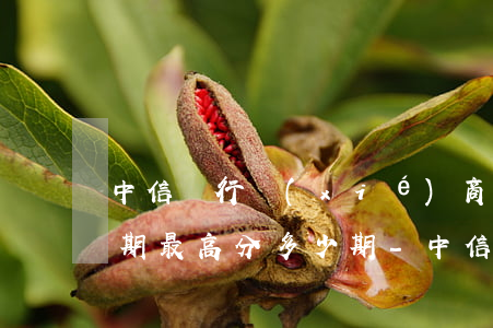 中信銀行協(xié)商個(gè)性化分期最高分多少期-中信銀行協(xié)商個(gè)性化分期條件