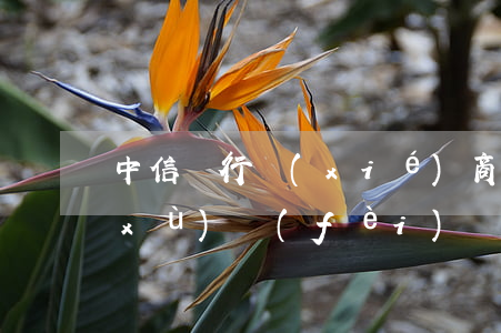 中信銀行協(xié)商還款還需要手續(xù)費(fèi)嗎-中信銀行協(xié)商還款還需要手續(xù)費(fèi)嗎多少錢