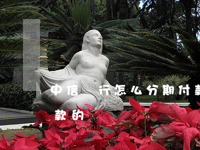 中信銀行怎么分期付款(中信銀行怎么分期付款的)