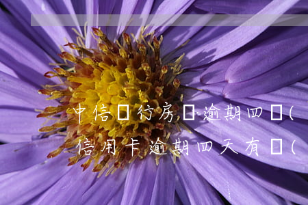 中信銀行房貸逾期四個(gè)月(中信銀行信用卡逾期四天有沒(méi)有不良記錄)