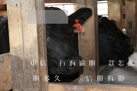 中信銀行有逾期還款怎么辦(中信銀行貸款逾期多久會對信用有影響)