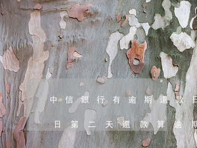 中信銀行有逾期還款日嗎(中信銀行房貸還款日第二天還款算逾期嗎)