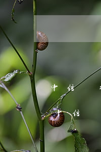 中信銀行欠款15萬,無力償還會不會坐牢-中信銀行欠款15萬,無力償還會不會坐牢呢