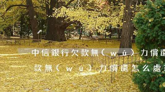 中信銀行欠款無(wú)力償還(中信銀行欠款無(wú)力償還怎么處理)