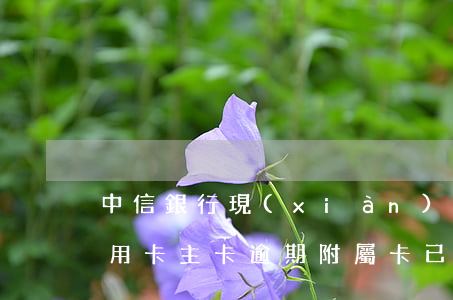 中信銀行現(xiàn)已暫停用卡（中信信用卡主卡逾期附屬卡已注銷）