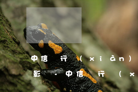 中信銀行現(xiàn)金分期逾期有什么影響-中信銀行現(xiàn)金分期逾期有什么影響嗎