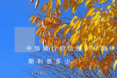 中信銀行的信用卡分期(中信銀行的信用卡分期利息多少)
