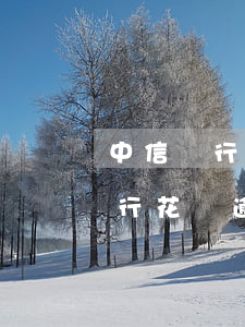 中信銀行花唄逾期信用卡能通過嗎-中信銀行花唄逾期信用卡能通過嗎安全嗎