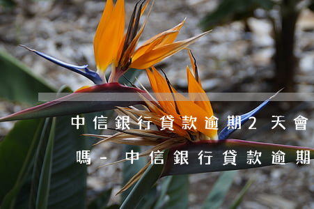 中信銀行貸款逾期2天會(huì)上征信嗎-中信銀行貸款逾期2天會(huì)上征信嗎知乎