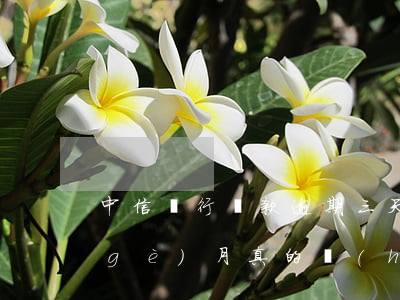 中信銀行貸款逾期三天(中信銀行逾期三個(gè)月真的會(huì)起訴坐牢嗎)