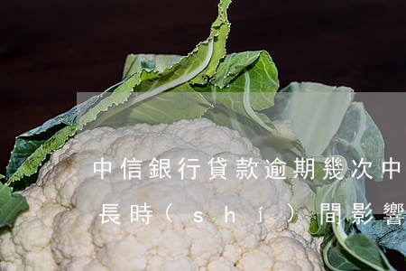 中信銀行貸款逾期幾次(中國銀行貸款逾期多長時(shí)間影響征信記錄)