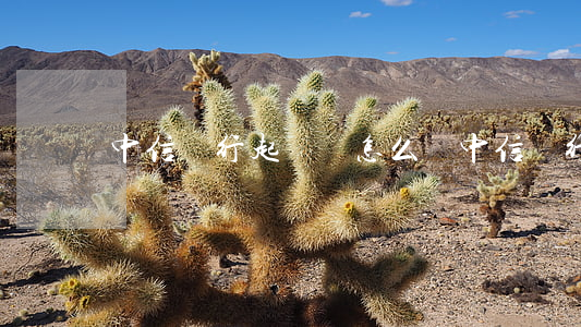 中信銀行起訴會怎么樣（中信銀行逾期起訴多嗎）