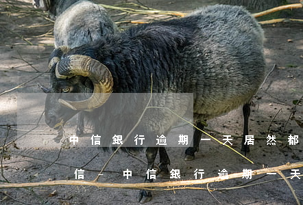 中信銀行逾期一天居然都上報(bào)征信-中信銀行逾期一天居然都上報(bào)征信了