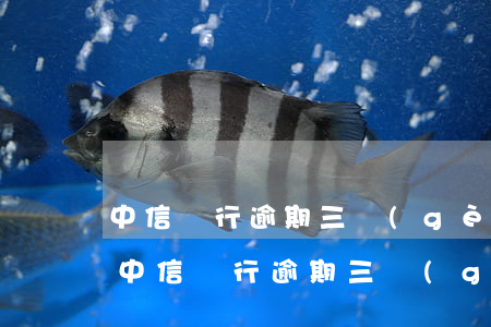 中信銀行逾期三個(gè)月可以分期嗎-中信銀行逾期三個(gè)月可以分期嗎