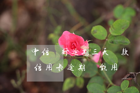 中信銀行逾期三天還款對信用有影響嗎（中信信用卡逾期還能用）