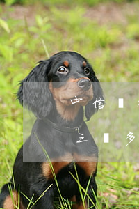 中信銀行逾期三萬多了會怎樣(中信銀行逾期三萬多了會怎樣呢)