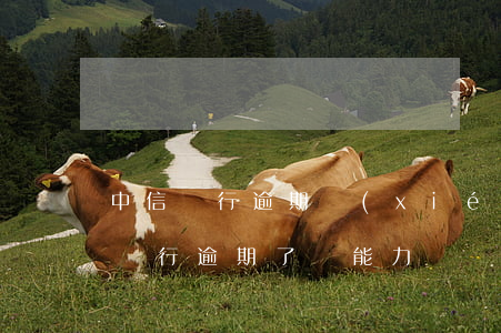 中信銀行逾期協(xié)商還款條件 中信銀行逾期了無能力償還可以協(xié)商還款嗎