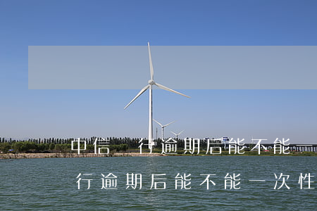 中信銀行逾期后能不能一次性還款-中信銀行逾期后能不能一次性還款呢