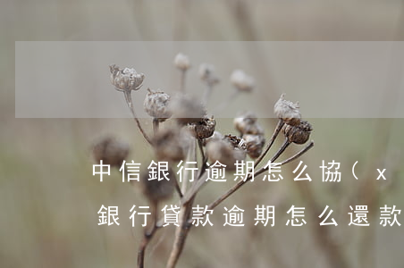 中信銀行逾期怎么協(xié)商還款(中信銀行貸款逾期怎么還款)