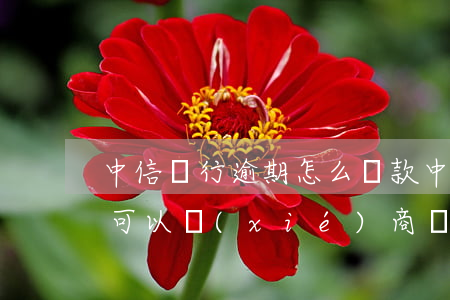 中信銀行逾期怎么還款(中信銀行逾期一年了,可以協(xié)商還本金嗎)