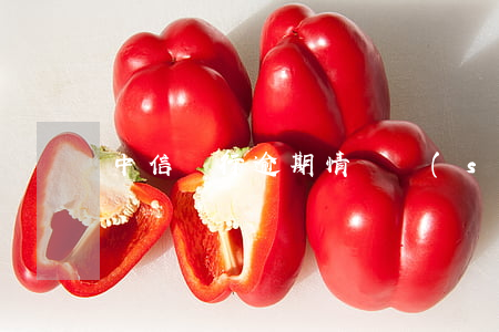 中信銀行逾期情況說(shuō)明怎么寫