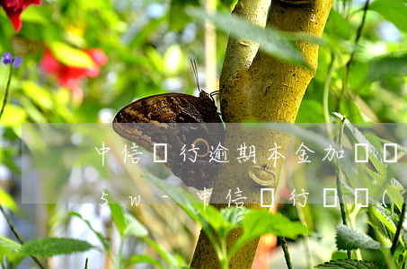 中信銀行逾期本金加圓夢(mèng)金超5w-中信銀行圓夢(mèng)金逾期了