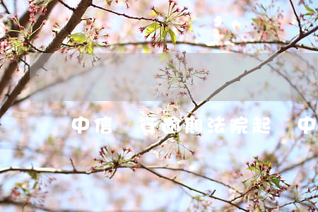 中信銀行逾期法院起訴(中信銀行訴訟通知)