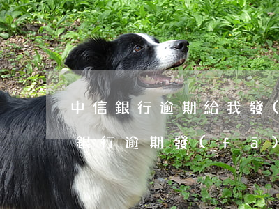 中信銀行逾期給我發(fā)郵件起訴(中信銀行逾期發(fā)短信說要向法院提交訴訟材料是真的嗎)