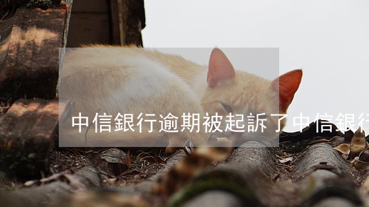 中信銀行逾期被起訴了(中信銀行多久起訴)