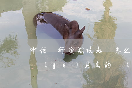 中信銀行逾期被起訴怎么辦(中信銀行逾期三個(gè)月真的會(huì)起訴坐牢嗎)