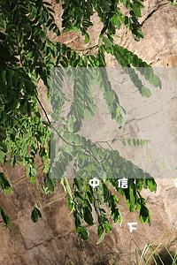 中信銀行逾期起訴書(中信銀行貸款逾期判決書下來了該怎么辦)