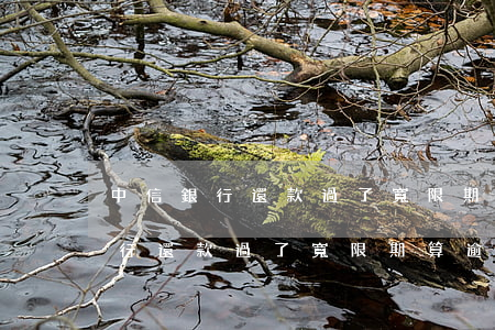 中信銀行還款過了寬限期算逾期嗎-中信銀行還款過了寬限期算逾期嗎怎么辦