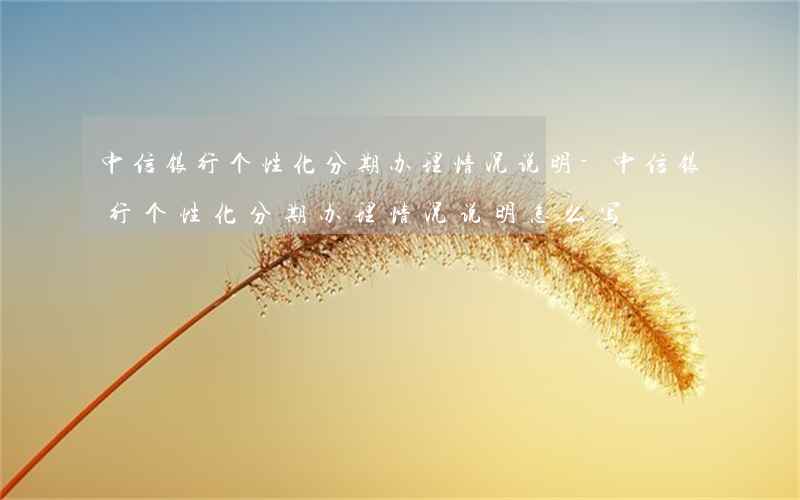 中信银行个性化分期办理情况说明-中信银行个性化分期办理情况说明怎么写
