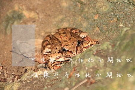 中信银行个性化分期协议是否有成功的-中信银行个性化分期协议是否有成功的可能