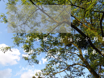 中信银行个性化分期百分之十合理吗-中信银行个性化分期最长几年