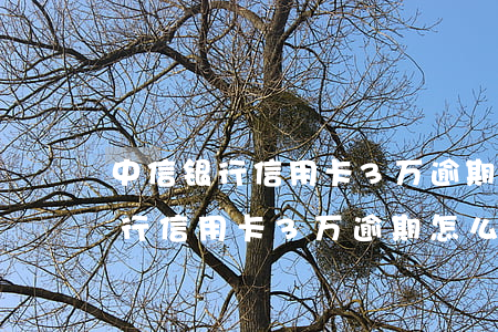 中信银行信用卡3万逾期怎么协商-中信银行信用卡3万逾期怎么协商还款