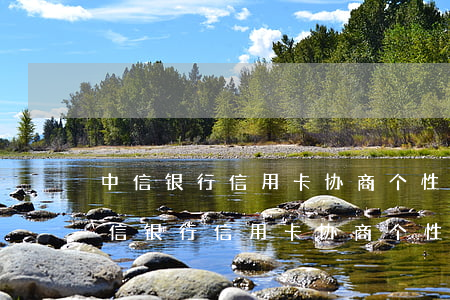 中信银行信用卡协商个性化分期不同意-中信银行信用卡协商个性化分期不同意怎么办