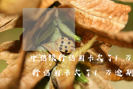 中信银行信用卡欠了1万逾期2年-中信银行信用卡欠了1万逾期2年会怎样
