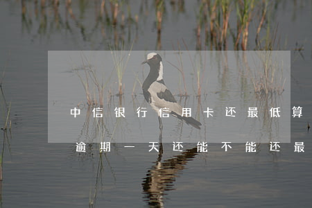 中信银行信用卡还最低算逾期吗-中信银行逾期一天还能不能还最低额度