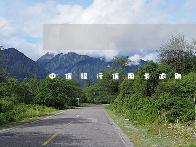 中信银行信用卡逾期