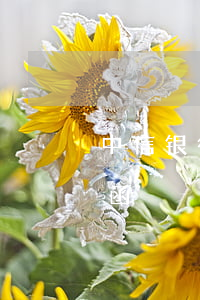 中信银行信用卡逾期3000现在说发律师函